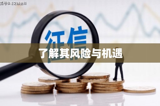 昌宁了解其风险与机遇